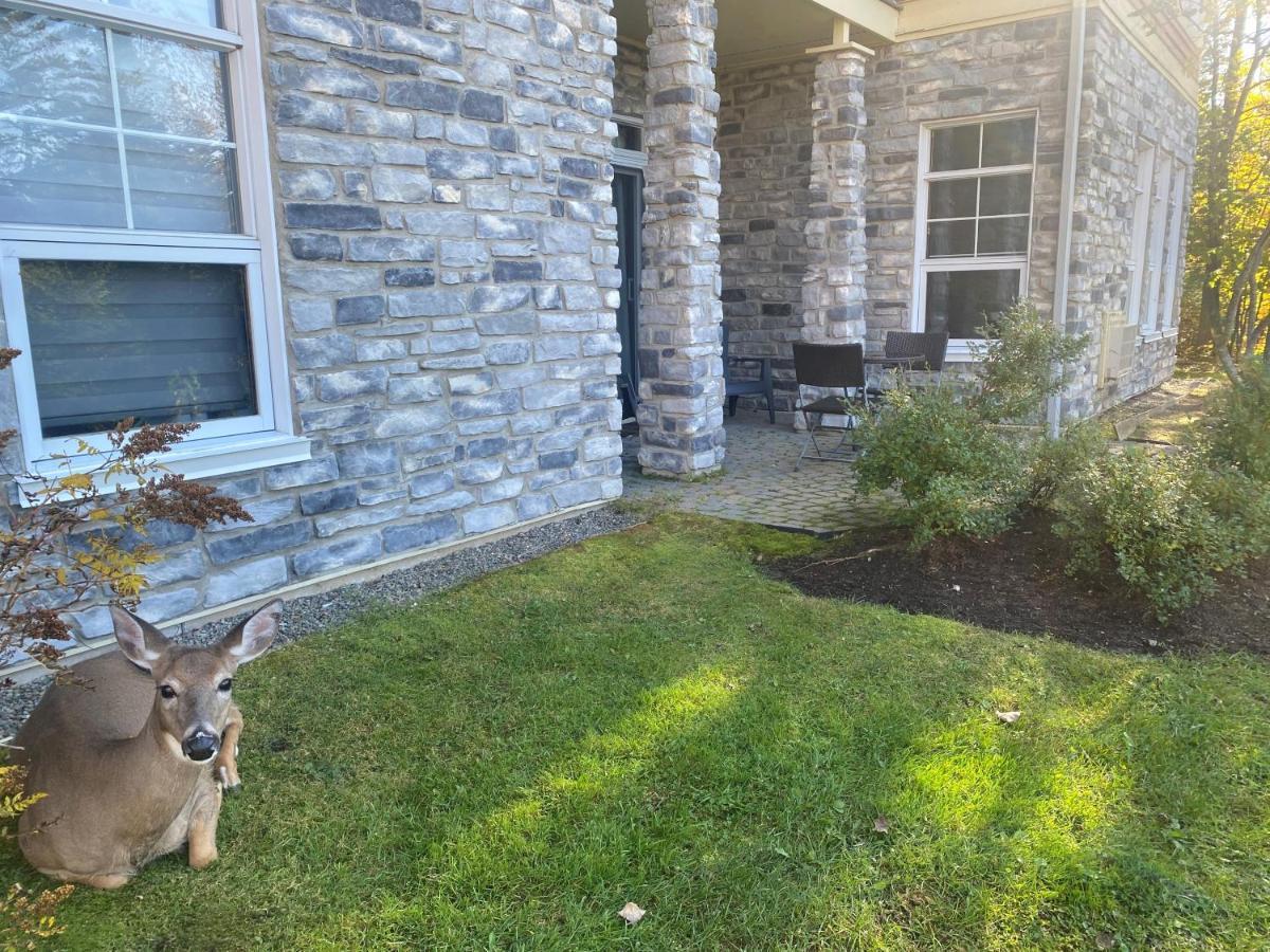 Rental Condo Tremblant-Les-Eaux Mont-Tremblant Exterior photo